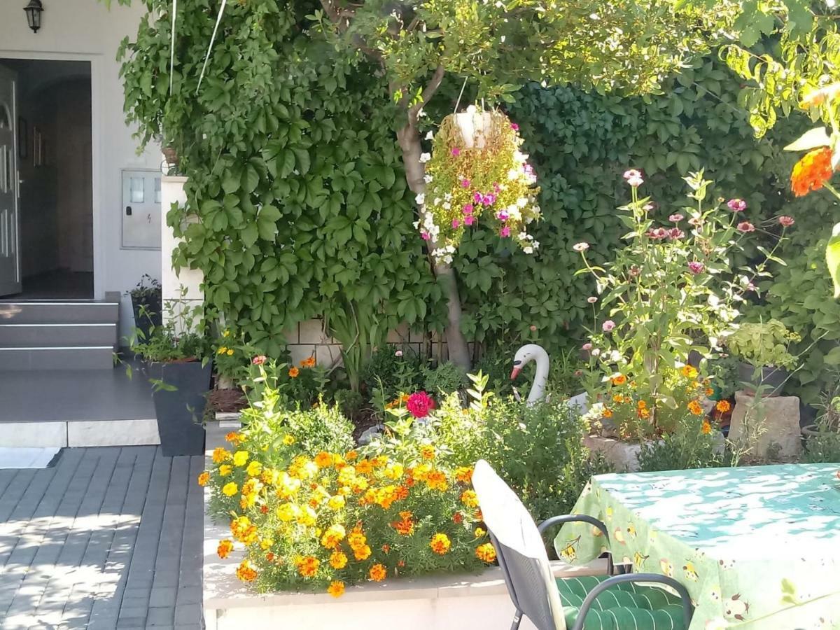 Apartments Centar - Mirjana ماكارسكا المظهر الخارجي الصورة